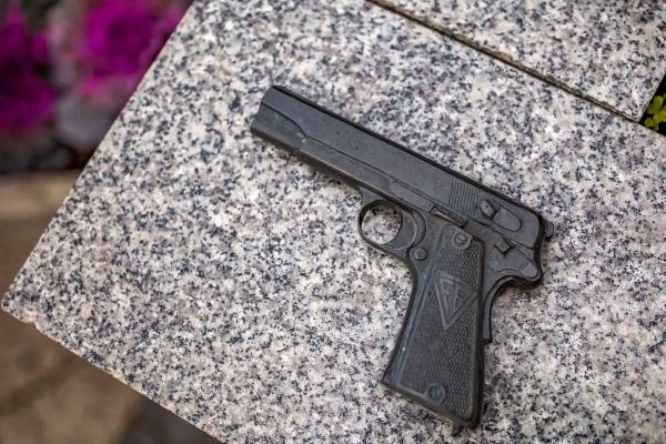 Weapon factory and vis gun - Radom